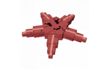 Starfish